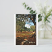 オリーブガーデンの晴れた日 ポストカード (スタンド正面)