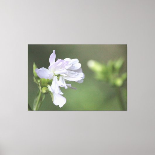 オリーブグリーンプリント キャンバスプリント (正面)