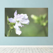 オリーブグリーンプリント キャンバスプリント (インサイチュ (ウッドフロア))