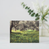 オリーブグローブのはがき ポストカード (スタンド正面)