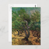 オリーブグローブバイヴィンセントヴァンゴッホ ポストカード (正面/裏面)