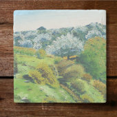 オリーブグローブ コースター