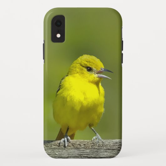 オリーブコウライウグイス - オリジナル写真 Case-Mate iPhoneケース (裏面)