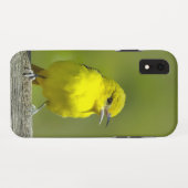 オリーブコウライウグイス - オリジナル写真 Case-Mate iPhoneケース (裏面(横))