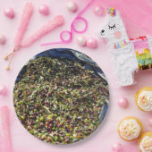 オリーブコレクション ペーパープレート (パーティー)