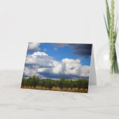 オリーブスペインの林 カード (正面)