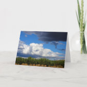 オリーブスペインの林 カード (正面)