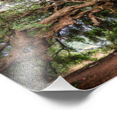 オリーブツリーエレミヤ17:8ポスター フォトプリント            (角)