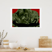 オリーブバラ（赤のAnegelhairテクスチャ付き背景） ポスター (キッチン)