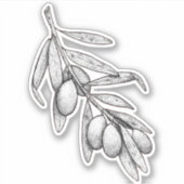 オリーブブランチ シール (正面)