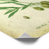 オリーブブランチNo. 10ファームハウスダイニングデコール ポスター (角)