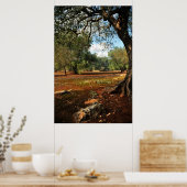 オリーブ園の晴れた日 ポスター (キッチン)