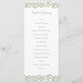 オリーブ枝LOVEコレクションプログラム プログラム