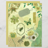 オリーブ海グリーンガーデンコラージスクラップブック紙 (正面/裏面)