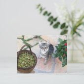 オリーブ胸付きワイルドキャットキットジャンニーノ ポストカード (スタンド正面)