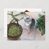 オリーブ胸付きワイルドキャットキットジャンニーノ ポストカード (正面/裏面)