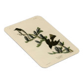 オリーブ色のフライアッチャー、オードボンズ・バード・オブ・アメリカ マグネット (右側)