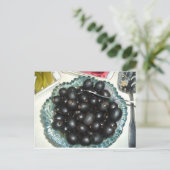 オリーブ葉書 ポストカード (スタンド正面)