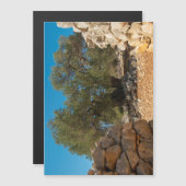 オリーブ・ガーデン・オブ・ラン (正面/裏面)