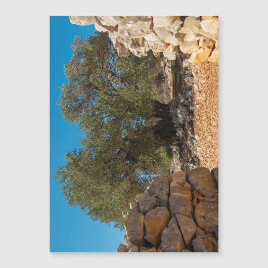 オリーブ・ガーデン・オブ・ラン (正面)