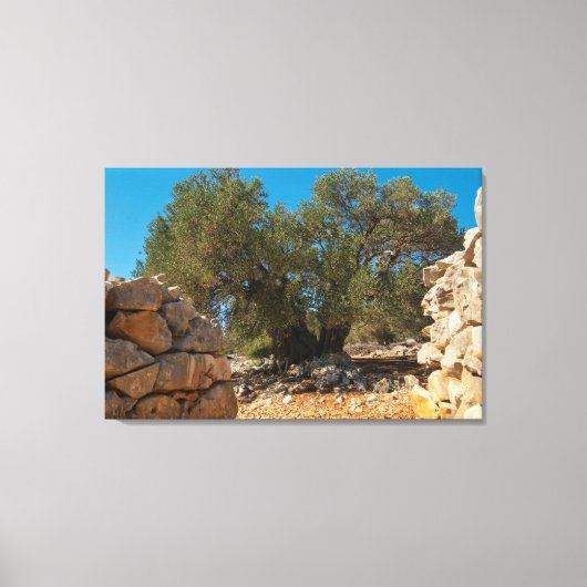 オリーブ・ガーデン・オブ・ラン キャンバスプリント (正面)