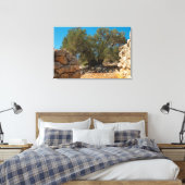 オリーブ・ガーデン・オブ・ラン キャンバスプリント (インサイチュ (寝室))