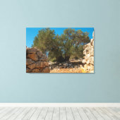 オリーブ・ガーデン・オブ・ラン キャンバスプリント (インサイチュ (ウッドフロア))