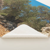 オリーブ・ガーデン・オブ・ラン シェルパブランケット (3/4)