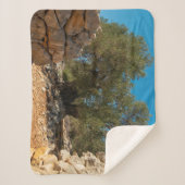 オリーブ・ガーデン・オブ・ラン シェルパブランケット (正面)