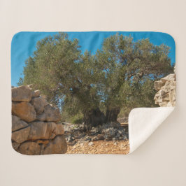 オリーブ・ガーデン・オブ・ラン シェルパブランケット