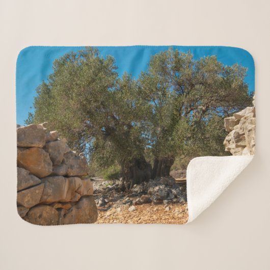 オリーブ・ガーデン・オブ・ラン シェルパブランケット (正面(横))