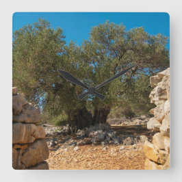 オリーブ・ガーデン・オブ・ラン スクエア壁時計