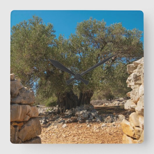 オリーブ・ガーデン・オブ・ラン スクエア壁時計 (正面)