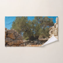 オリーブ・ガーデン・オブ・ラン