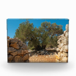 オリーブ・ガーデン・オブ・ラン フォトブロック