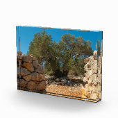 オリーブ・ガーデン・オブ・ラン フォトブロック (右)