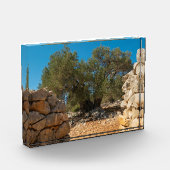 オリーブ・ガーデン・オブ・ラン フォトブロック (左)