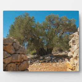 オリーブ・ガーデン・オブ・ラン フォトプラーク