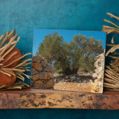 オリーブ・ガーデン・オブ・ラン フォトプラーク (側面)