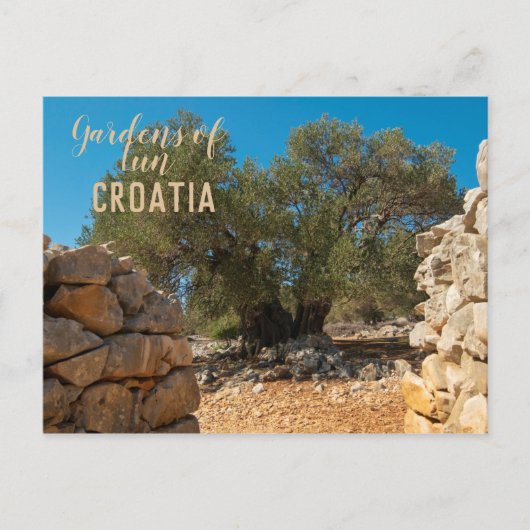 オリーブ・ガーデン・オブ・ラン ポストカード (正面)