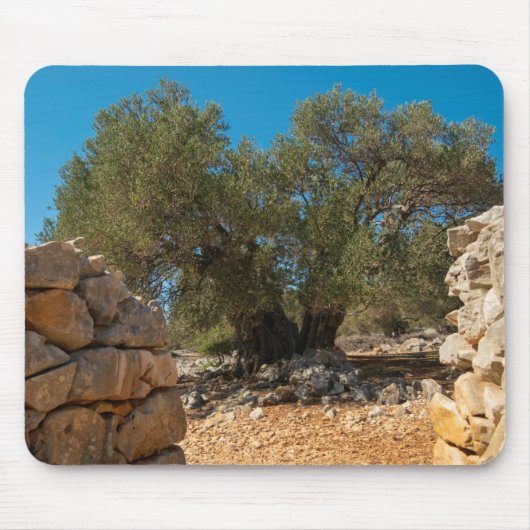 オリーブ・ガーデン・オブ・ラン マウスパッド (正面)