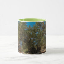 オリーブ・ガーデン・オブ・ラン