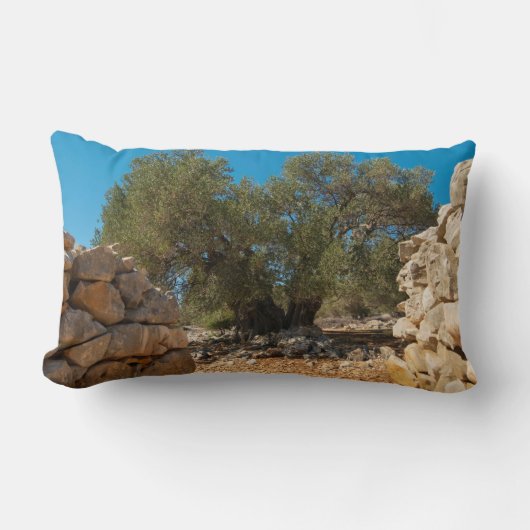 オリーブ・ガーデン・オブ・ラン ランバークッション (正面)