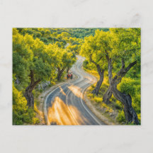 オリーブ・グローブオールド・トラクター付き夕べ・ロード