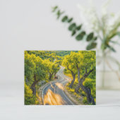 オリーブ・グローブオールド・トラクター付き夕べ・ロード シーズンポストカード (スタンド正面)