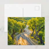 オリーブ・グローブオールド・トラクター付き夕べ・ロード シーズンポストカード (正面/裏面)