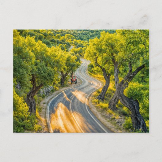 オリーブ・グローブオールド・トラクター付き夕べ・ロード シーズンポストカード (正面)