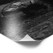 「オリーブ・ショア」 フォトプリント            (角)