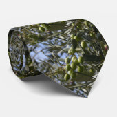 オリーブ ネクタイ (ロール)