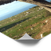 オリーブ ポスター (角)